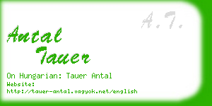 antal tauer business card